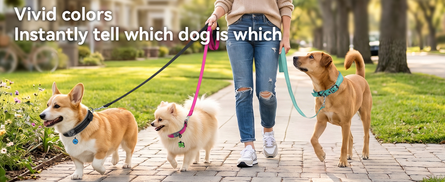 Dog collar