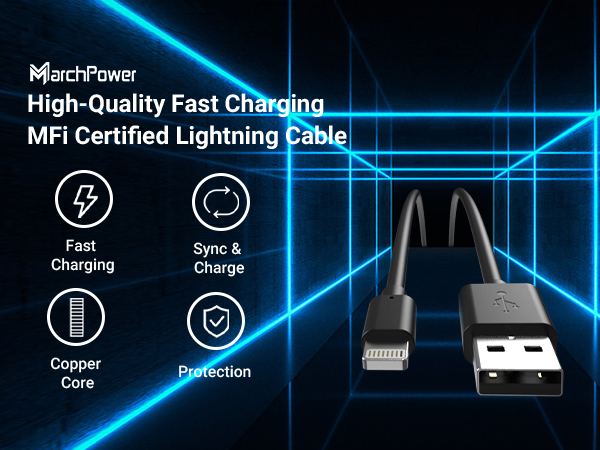 black iPhone cable