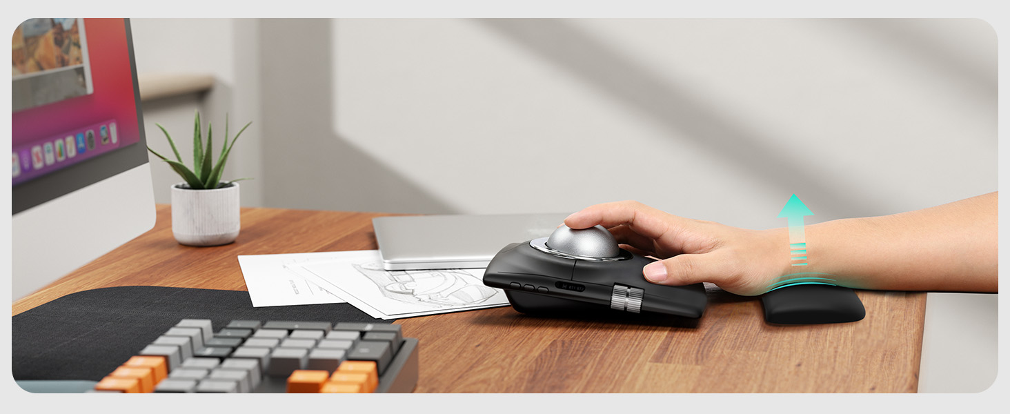 Desktop workspace scene showing hands using calculator with paperwork and small potted plant visible on wooden desk surface.