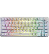 TECWARE Ghost 75 Wireless Mechanical Keyboard, 3-Mode (2.4GHz/Bluetooth/USB-C), Gasket Mounted, P...