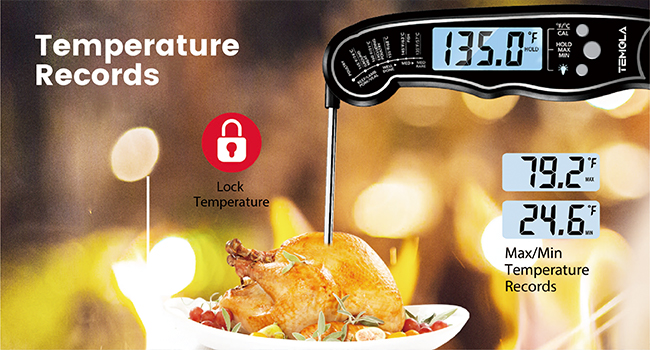 Meat Thermometer