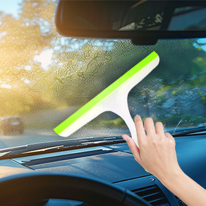 Shower Squeegee