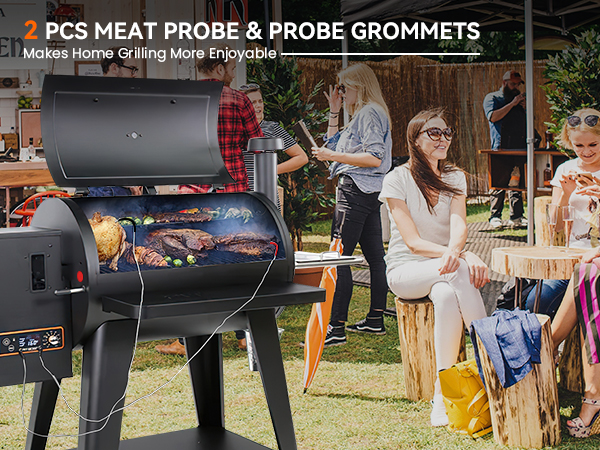 LESYAO MEAT PROBE