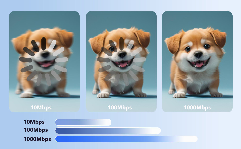 ethernet splitter high speed