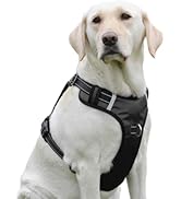 PenSeepet Dog Harness No Pull Dog Harness with 2 D-Ring,Adjustable Reflective Soft Padded Dog Ves...