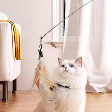 kitten toys