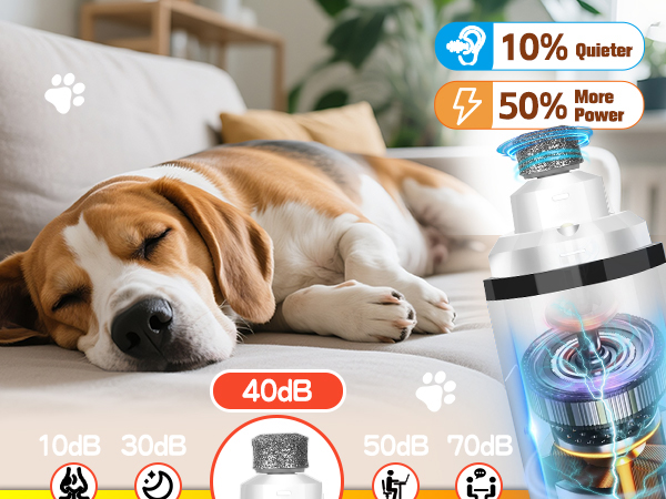 Dog Nail Trimmers