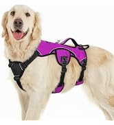 rabbitgoo Escape Proof Dog Harness, Soft Padded Full Body Pet Harness, Reflective Adjustable No P...