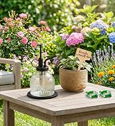Amolliar Glass Plant Mister Spray Bottle, Vintage Refillable Leak Proof Watering Can for Indoor P...