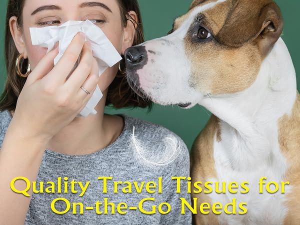 pocket tissues travel packs small tissue packs mini tissues packs travel tissue pocket tissue