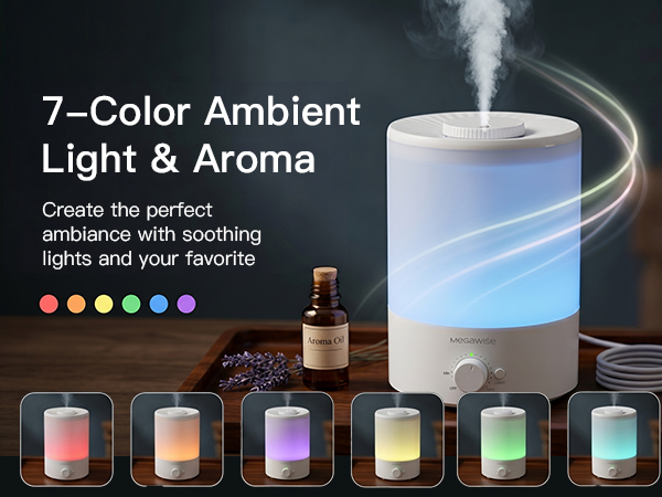 Humidifier