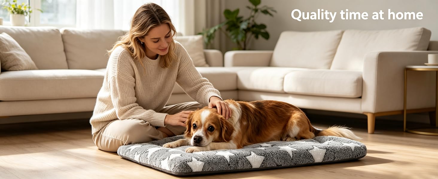 dog bed