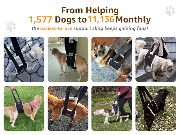 Adjustable Dog Lift Harness Dog Sling for Large Dogs Hind Leg Support Soft Lift Support