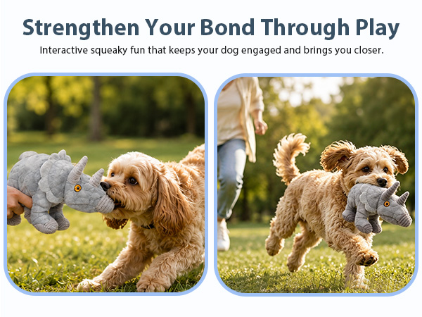 squeaky dog toys