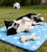dog cooling mat