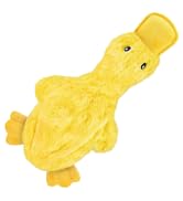 Best Pet Supplies Interactive Squeaky Dog Chew Toy, Ideal Dog Toys for Chewers, Small, Medium & L...