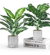 Der Rose 2 Pack 16" Fake Plants Artificial Monstera for Home Decor | Medium potted faux plants wi...