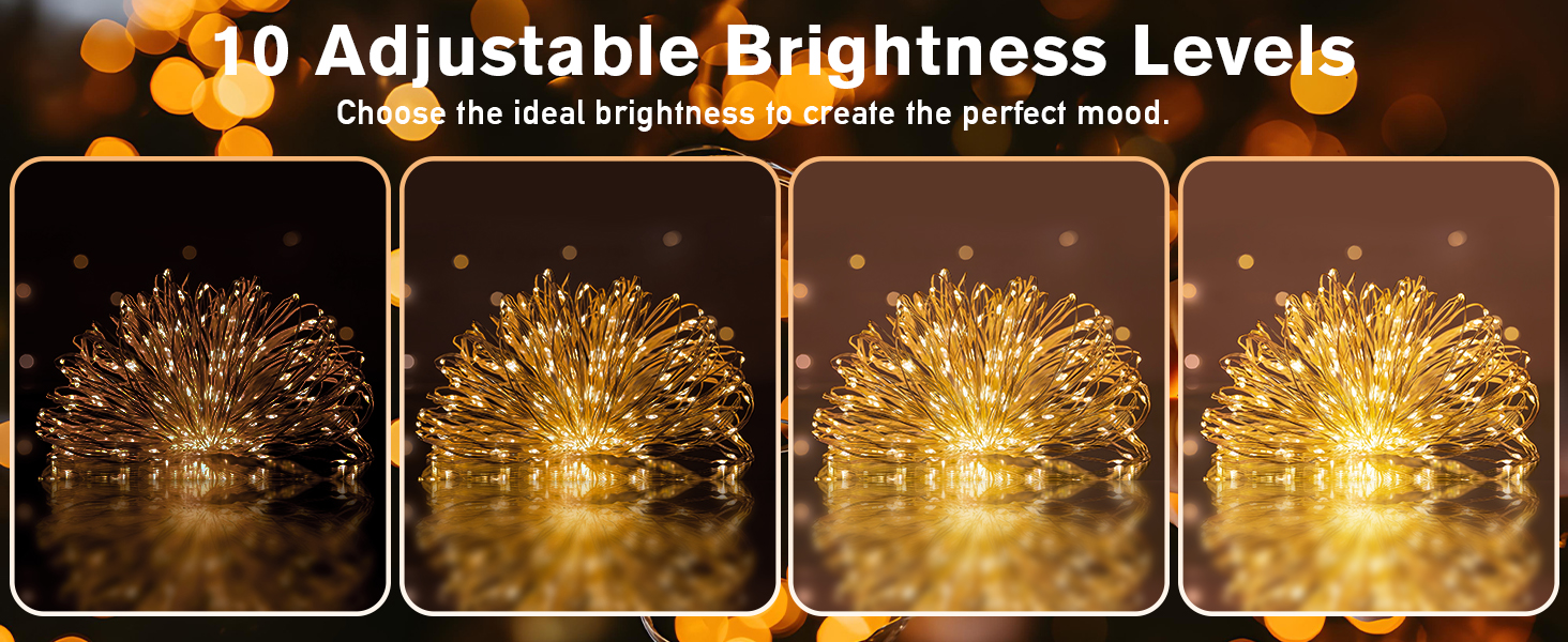 dimmable fairy lights