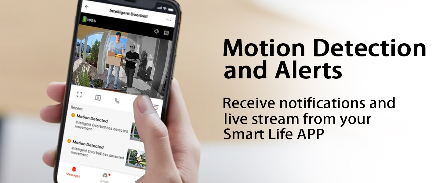 motion detection and alerts
