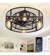 Depuley Flush Mount Ceiling Fan: 20" Caged Ceiling Fans with Lights and Remote App Control for Ki...