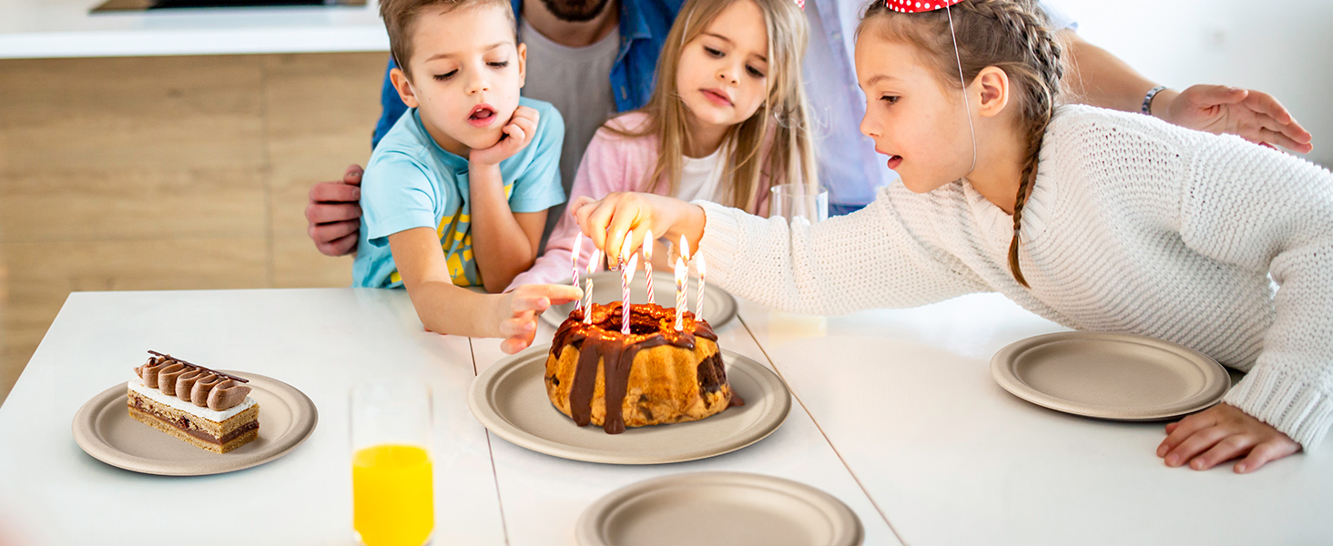 paper plates for party cake