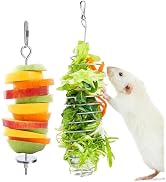 Jevnd 2Pcs Rat Enrichment Toys, 304 Stainless Steel Rat Foraging Toy for Fruit Vegetable Holder, ...