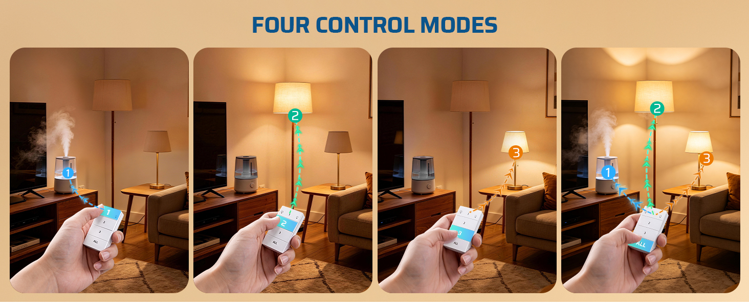 remote switch