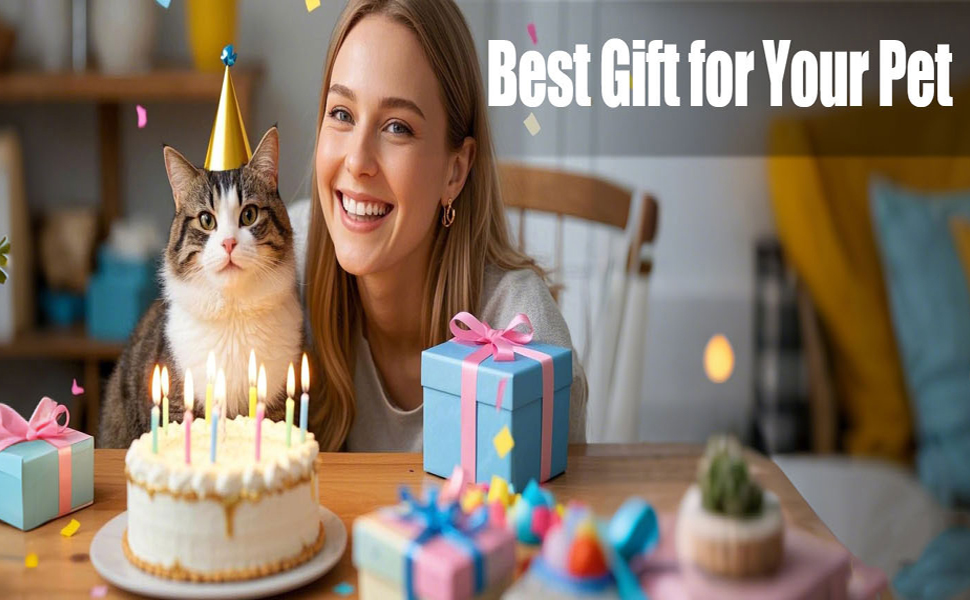 automatic cat toy