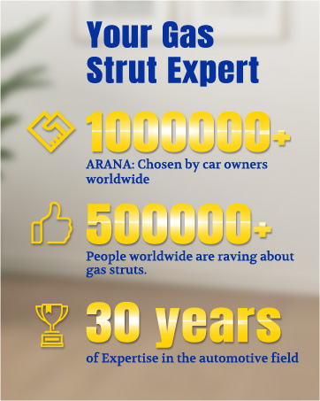 ARANA gas struts shocks