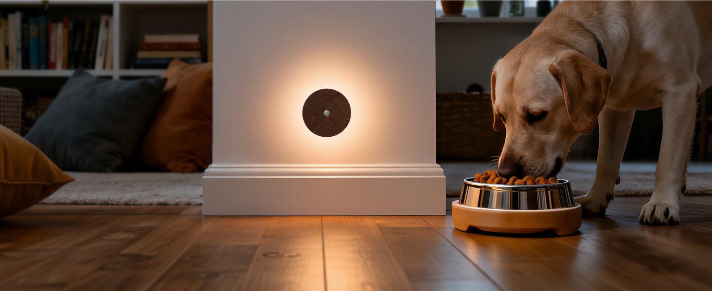 wood motion sensor light
