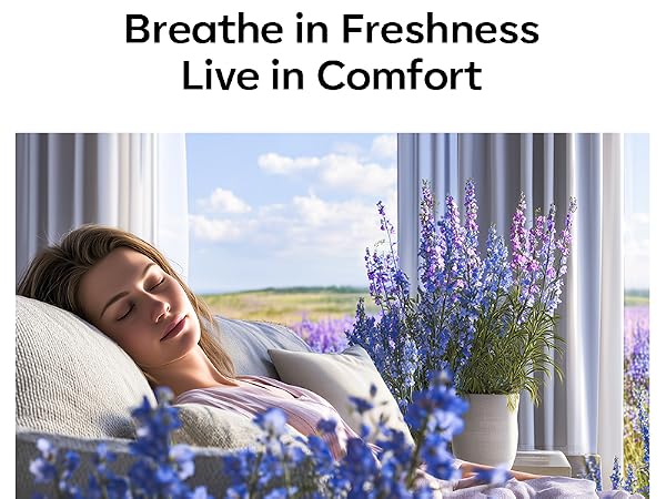 Air Freshener