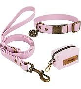 Wisedog Waterproof Dog Collar and Leash Set, Adjustable Puppy Collar with Cute Tag 5FT Dog Leash ...