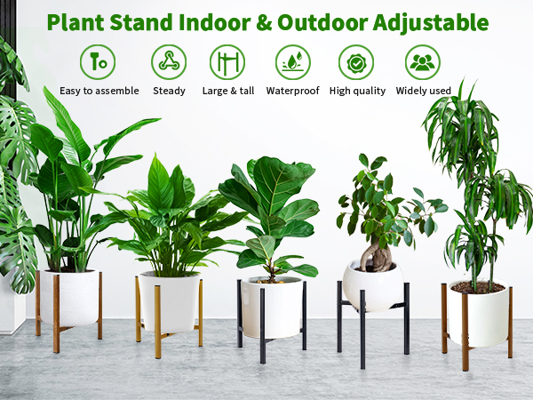 plant stand indoor