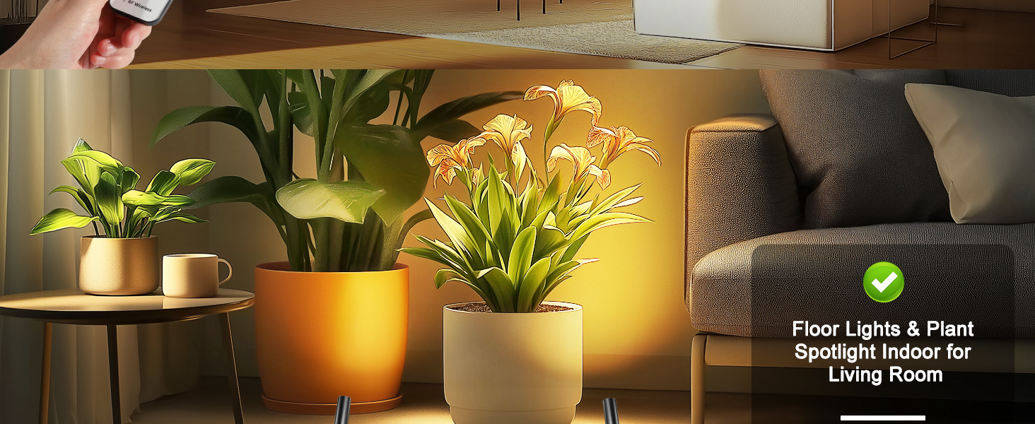 Floor spotlights are decorating the indoor plants