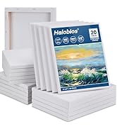 Halobios Blank Canvases for Painting with 8x10in Painting Canvas, 20 Packs Stretched Canvases for...