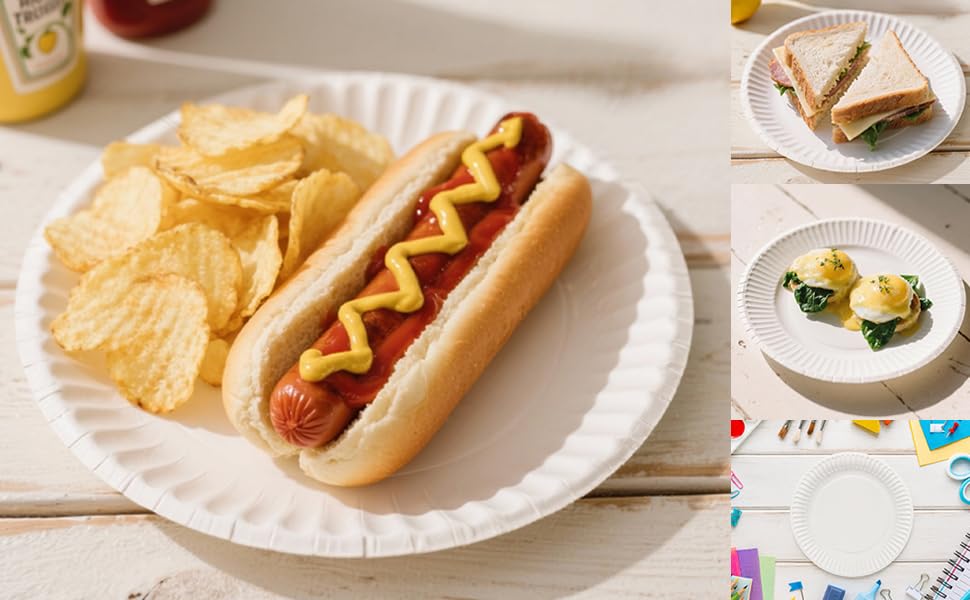 Stock Your Home 9-Inch Paper Plates Uncoated, Everyday Disposable Plates