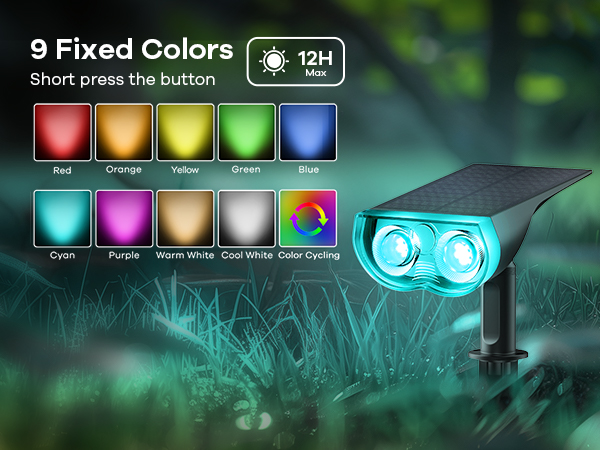 color changing outdoor lighting