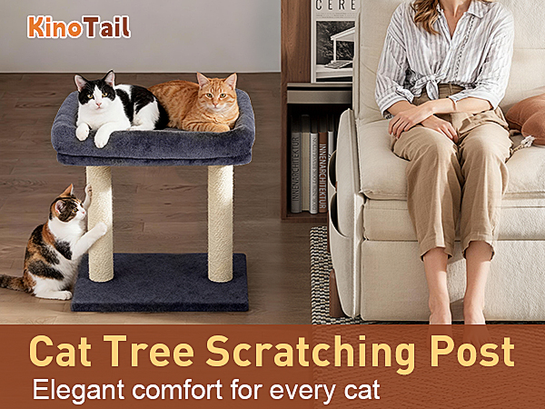 kinotai small cat tree indoor