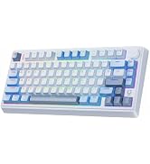 wegear 75% Compact Mechanical Keyboard with Knob for PC/Mac/Laptop-Blue | Hot-Swappable Linear Sw...