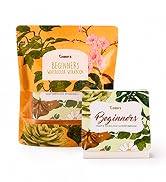 Tobio’s Watercolor Workbook for Beginners