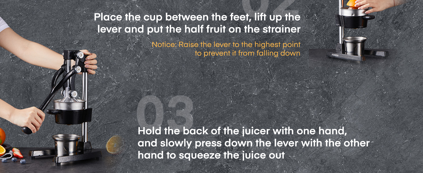 manual juicer