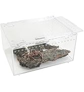 Apatal Acrylic Tarantula Enclosure Box No Assembly Reptile Terrarium 8x6x4in Transparent Sling Ca...