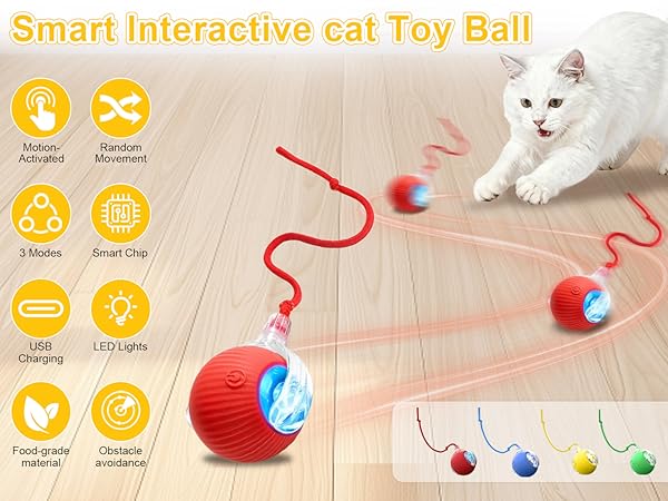 cat ball