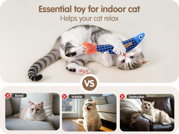 kitten toys