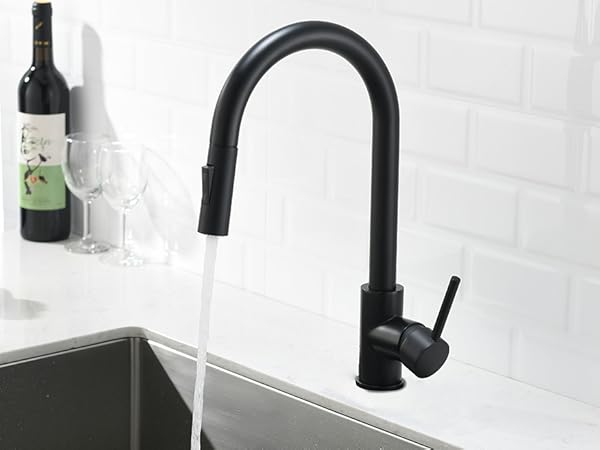 havin black pull out kitchen faucet