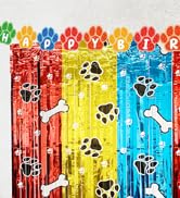 Birthday Party Decorations