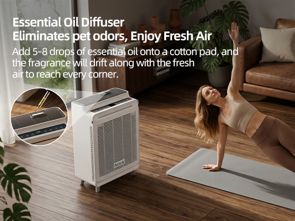 Air Purifier for Home Large Room