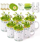 TICIAGA Eucalyptus Mug Gift Set - 36Pcs Greenery Coffee Mug with Ceramic Cup Spoon Knit Coaster S...