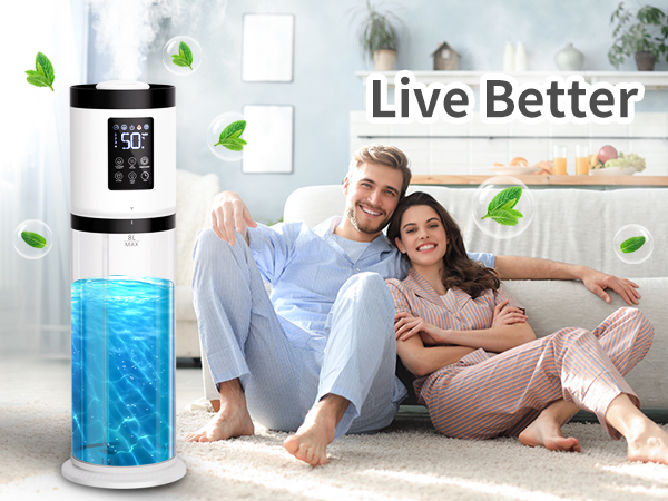 air humidifier