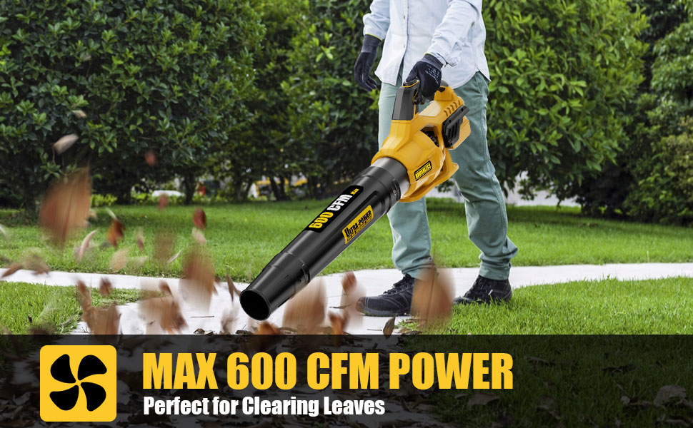 Dewalt Leaf blower